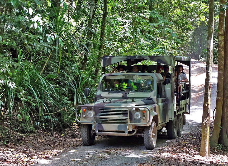 Daintree Waters Tour