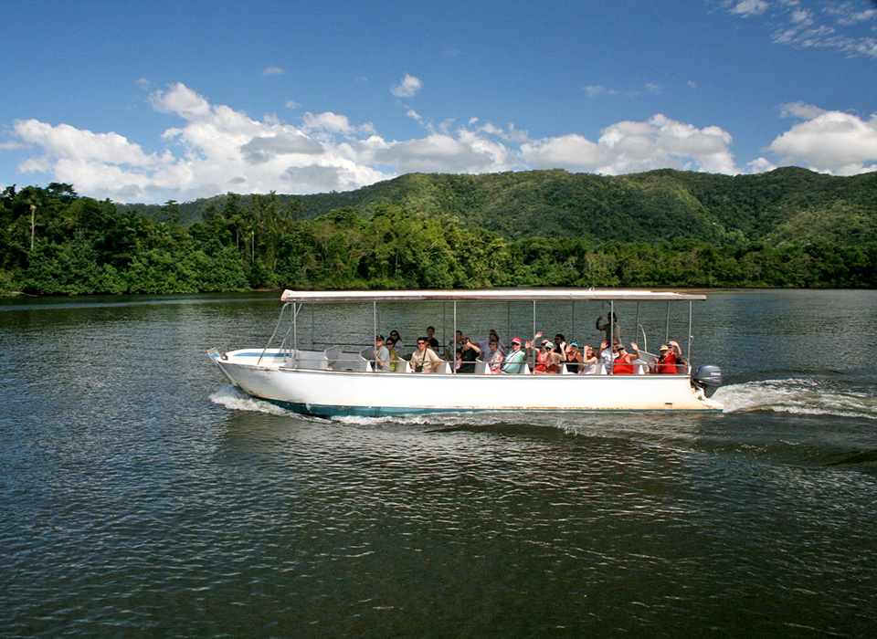 Daintree Waters Tour
