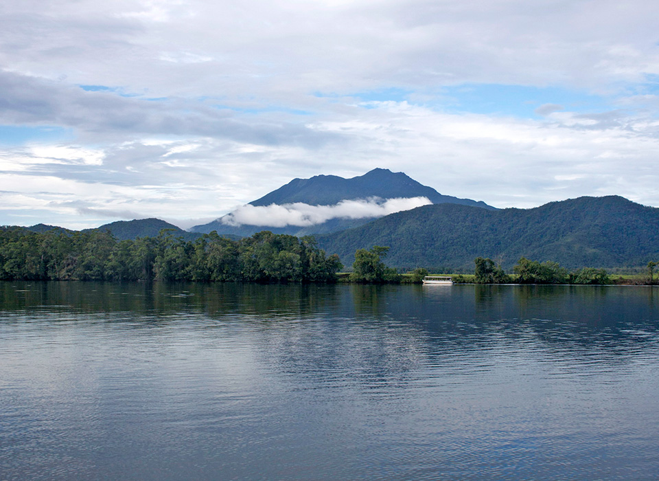 Daintree Waters Tour